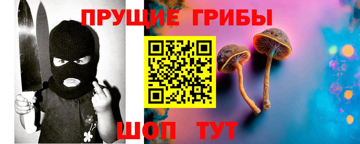 Видное  Псилоцибиновые грибы ЛСД  Вход с VPN  Псилоцибиновые грибы прущие грибы 