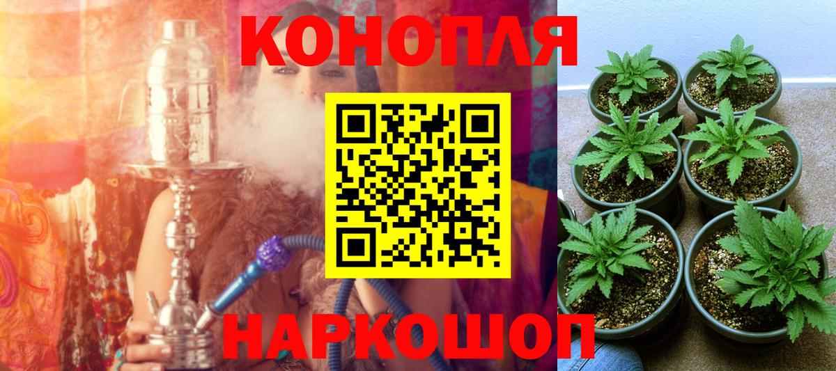 Галлюциногенные грибы Видное